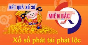 Dự đoán xổ số 17/12